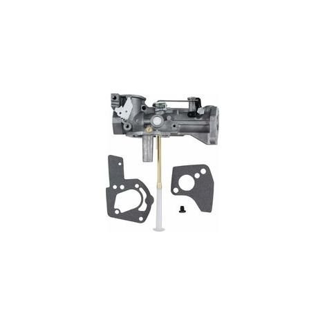 Carburateur pour moteurs Briggs & Stratton 5HP – Remplacement 498298 134202 133212 – Atomisation optimale du carburant