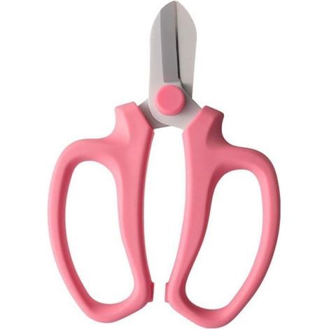 Forbici da fiori per giardino, potatura, forbici per fiori, forbici per foglie di frutta, potatore manuale, cesoie, attrezzo per potatura (1/5)