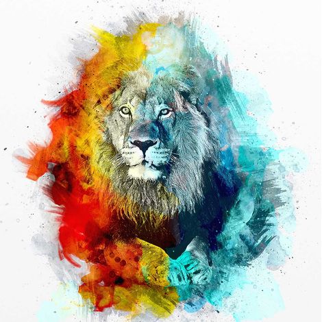 Tableau Lion et graff - 50x50cm - made in France (1/5)