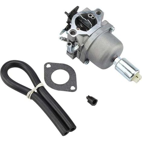Carburateur Carburateur Remplace pour Briggs Stratton 14.5hp - 21hp Carb 796109 591731 594593 Moteurs Tondeuse (1/4)