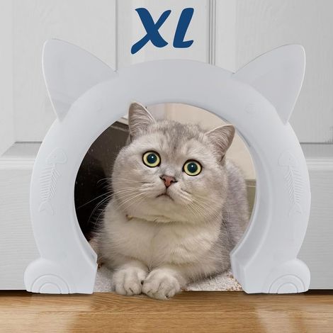 Grande chatière d'intérieur, chatière XL, chatières pour chats, chatons et petits chiens (blanche) (1/4)