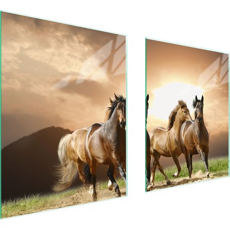 GLASSCHUTZPLATTE FÜR HERD 85x52 PFERDE (1/5)