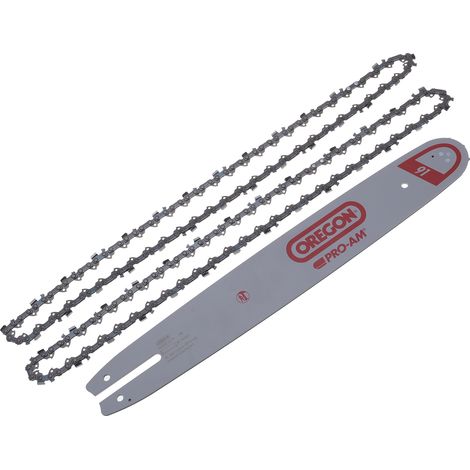 Combo Oregon gamme Pro guide 40cm 160SXEA074 + 2 chaines 91VXL055E (1/3)