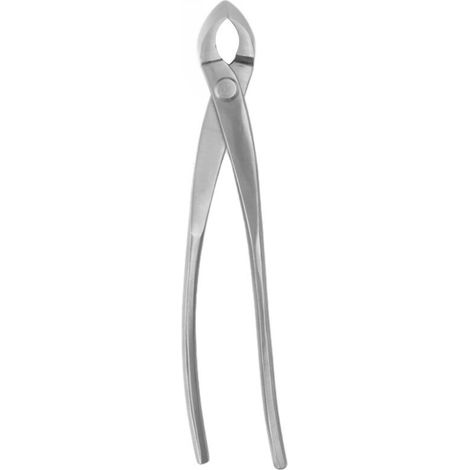 Bonsai Concave Branch Cutter Chrome Alloy Bevel Round Edge Knob Cutter for Home Garden (1/4)