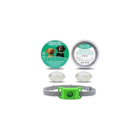 Collare antipulci e zecche per cani – Protezione naturale contro pulci e zecche – Resistente all'acqua – Regolabile con oli essenziali (1/5)