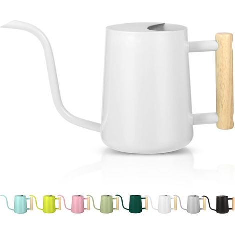 Gießkanne für Zimmerpflanzen, 1 l (35 oz), Edelstahl – Langer Ausguss – Weiß – Bonsai, Gartenblumen – Moderner, dekorativer Stil (1/5)