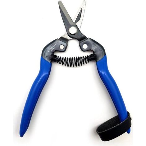 MANZANA tijera recoleccion m/azul recta m100 , Tijera de recolección recta modelo M100 Manzana Tijera de recolección con hojas de corte fabricadas en acero SK5, que proporciona (1/3)