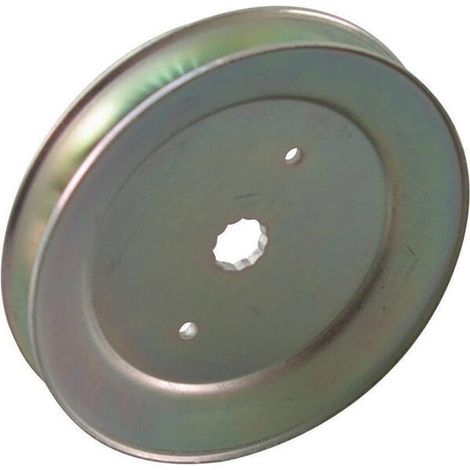 532173436 – Poulie de palier de lame pour tondeuse autoportée – Compatibilité AYP 107cm – Diamètre 131mm – Charge maximale 1,0kg – Bestgreen (1/3)