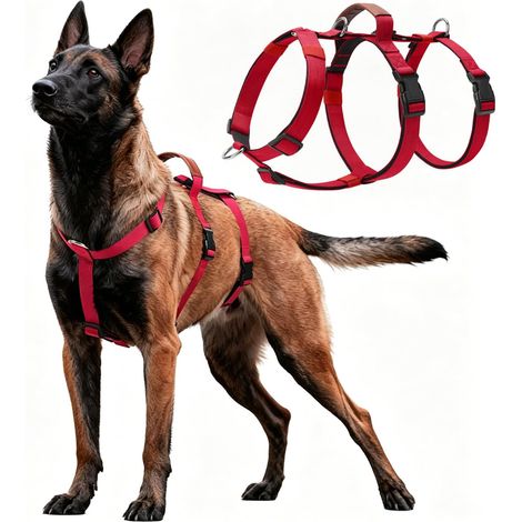 Harnais Anti Traction pour Chien, Laisse Anti-Chocs pour Chien, Harnais Anti-Traction avec Système De Contrôle, pour Promenades en Toute Sérénité, pour Les Chiens De Toutes Tailles, XL (Rouge) (1/5)