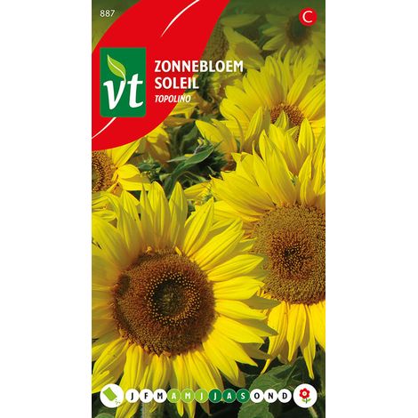 Tournesol Topolino - Ca. 1 gr (Livraison Gratuite) (1/2)