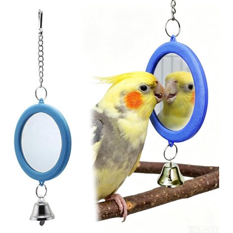 Miroir Oiseau Avec Clochette - 1 Pièce - Acrylique Et Plastique - Jouet Balançoire - Pour Perruches Calopsittes Canaris - Bleu (1/5)