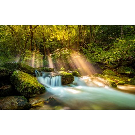 Affiche paysage cascade en forêt - 60x40cm - made in France (1/5)