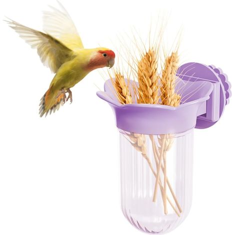 Gamelles pour oiseaux, mangeoires pour cages à perruches avec clip pour perroquets, calopsittes, pinsons, aras, inséparables et petits animaux (1/5)