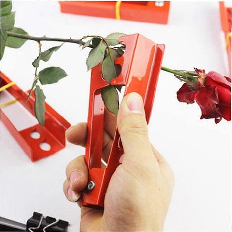 Pince à épiler pour fleuriste – 14,3 x 2,5 cm – Métal (1/5)