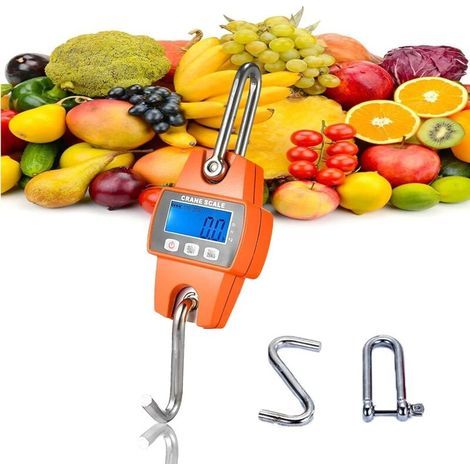 300 kg hanging scale for farm, hunting, archery, weighing, large fish, entrance elevator with precise sensor (1/5)