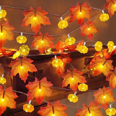 Guirlande lumineuse décorative automnale en forme de citrouille (6 mètres, 40 lumières) - à piles - LED - Halloween - Thanksgiving (1/5)