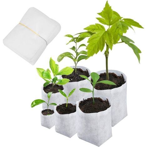 600 sacs de semis biodégradables 6 tailles de sacs de plantation non tissés pour les pommes de terre, les tomates et les plantes de jardin (1/5)