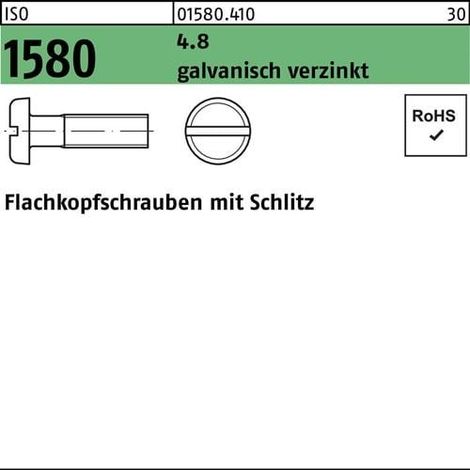 Vis à tête plate ISO 1580 fendue M3x 16 4.8 galv. 2000 pièces
