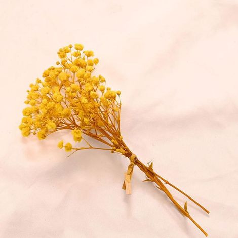 Babysbreath Séché - Bouquet Déco Fête Mariage Anniversaire - 12 cm - Blanc Rose Orange Jaune Bleu Ciel Vert Rouge - 1 Pièce (1/5)