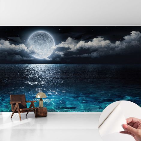 Fotomurale adesivo stickers - per camera da letto - per corridoio - decorazione casa moderna Mare notturno 416x254 cm (1/5)