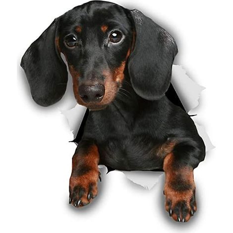 Niedlicher Dackel-Wandaufkleber (geknitterte Version) – Hundetoilettenaufkleber – 3D-Hunde-Fensteraufkleber (1/5)