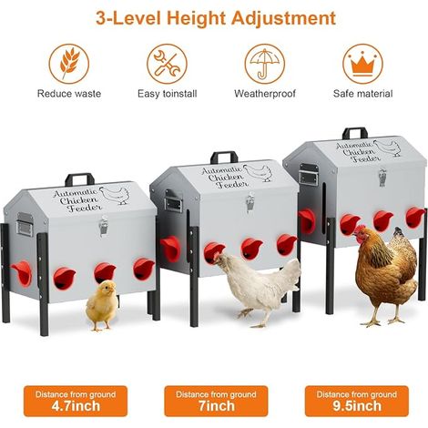 Metal Chicken Feeder - Feeding Ports, Poultry Feeder with Legs (1/4)