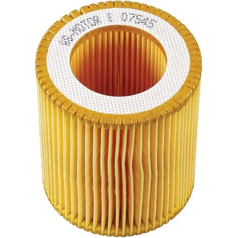 Filtre à air AS-MOTOR E07545ASM