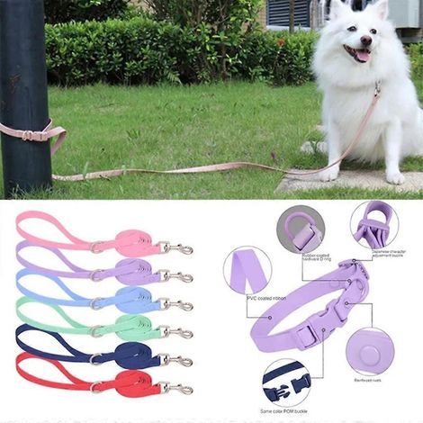 Collier pour chien ajustable, collier de dressage polyvalent, collier en nylon, plusieurs tailles (1/4)