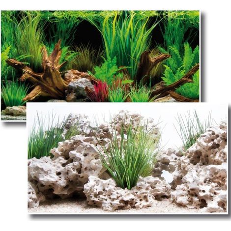 Sfondo doppio Wonder Amtra 30 cm x 15 mt