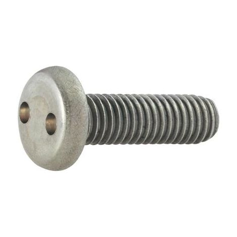 10 VIS DE SÉCURITÉ À TÊTE BOMBÉE 2 TROUS M4X16 MM TOOLCRAFT 88111 (1/2)