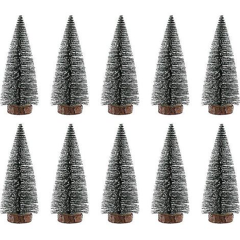 10 Stück Weißzederbaum
