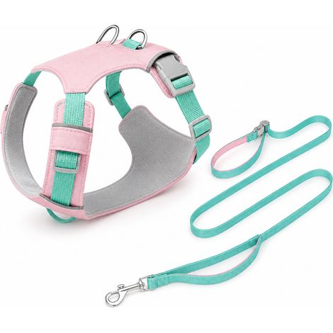 Équipement de promenade pour chien rose pastèque ensemble L