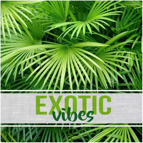 Lot de 20 serviettes papier Exotic