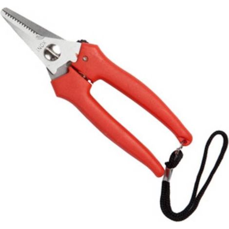 FORBICI P/UVA FALCI INOX 16 CM