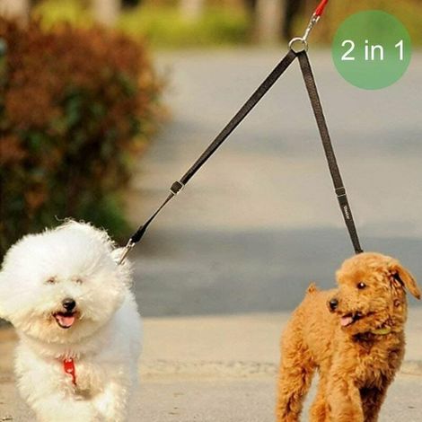 Laisse Double Pour Chien - 1 5 Cm Largeur - Réglable Sans Enchevêtrement - Convient Chiens Jusqu À 50 Kg - 2 Pièces (1/4)