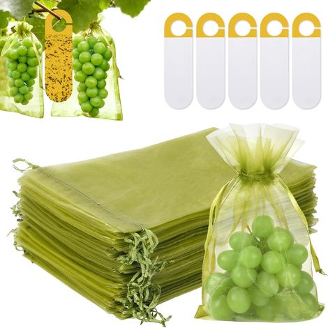 Sachet Protection Raisin - 60 Pièces - Organza Vert - Avec Cordon Et Pièges - Pour Vigne Et Verger - 30x40 Cm (1/5)