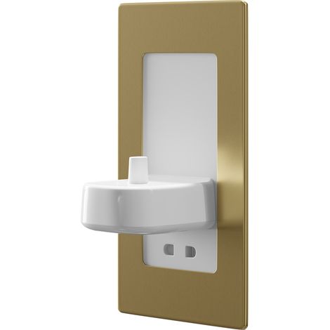 ProofVision Brushed Brass In-Wall Electric Toothbrush Charger and Shaver Combo - PV12P-B-FR (1/5)