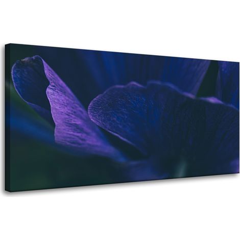 Leinwanddruck Botanik Lila Blütenblätter 80x40