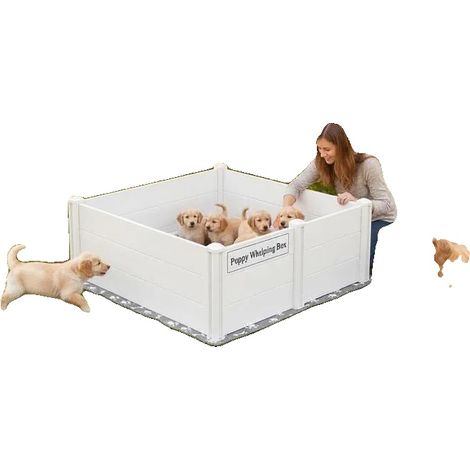 Caja de parto, puerta de altura regulable, alfombrilla absorbente lavable, BLANCA (1/2)