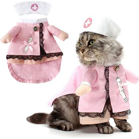 Déguisement d'infirmière pour animaux de compagnie pour Halloween, tenue créative pour chien debout... (1/5)