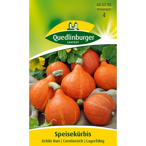 Quedlinburger Speisekürbis Uchiki Kuri - Gemüsesamen (1/2)