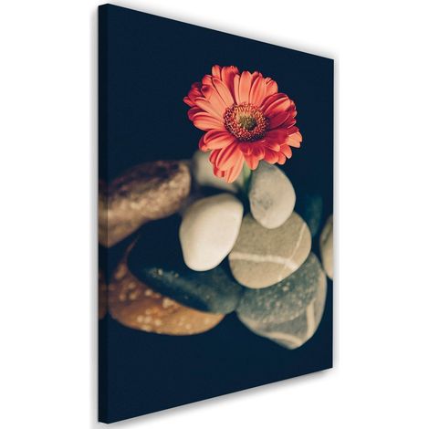 Tableau sur toile Fleurs de gerbera Pierres zen 40x60 (1/5)