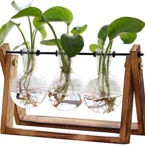Filiyano – support en bois – Plante avec support en bois, pot suspendu, ampoule, vase en verre, métal (1/5)
