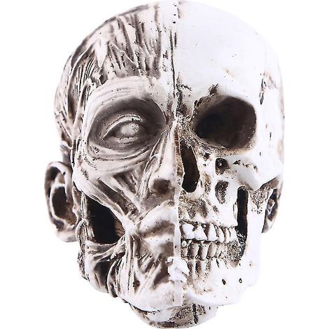 1 décoration d'Halloween pour loisirs créatifs (1/3)