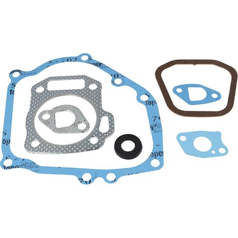 Serie guarnizioni motore Honda GX160, GX200 compatibile
