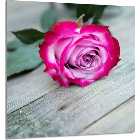 Panneau de verre pour cuisine 60x65 Rose (1/5)