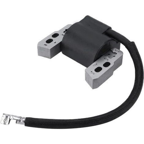 Module de bobine d'allumage de moteur en métal 802574 796964 adapté pour Briggs et Stratton (1/5)