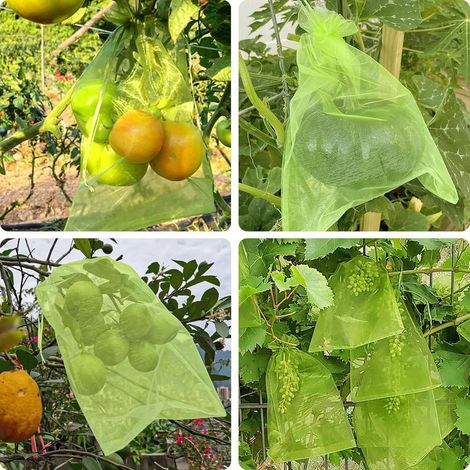 Sac Protection Fruits, Sachet Protection Raisin, 50 Pièces 30x40cm, Sac de Protection pour Fruits pour Protéger Les Grappes de Raisin des Frelons et des Oiseaux
