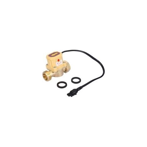 Interruptor de flujo de agua, WALFRONT G3/4G3/4, bomba de agua cableada, sensor de flujo ajustable, interruptor de control automático de presión, 220 V (1/4)