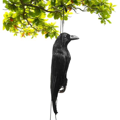 Leurre Corbeau pour Attirer Les Oiseaux, Figurine Épouvantail Corbeau Réaliste, Décor Halloween, Décoration pour Action de Grâce Noël et Soirée Masquée (1/5)